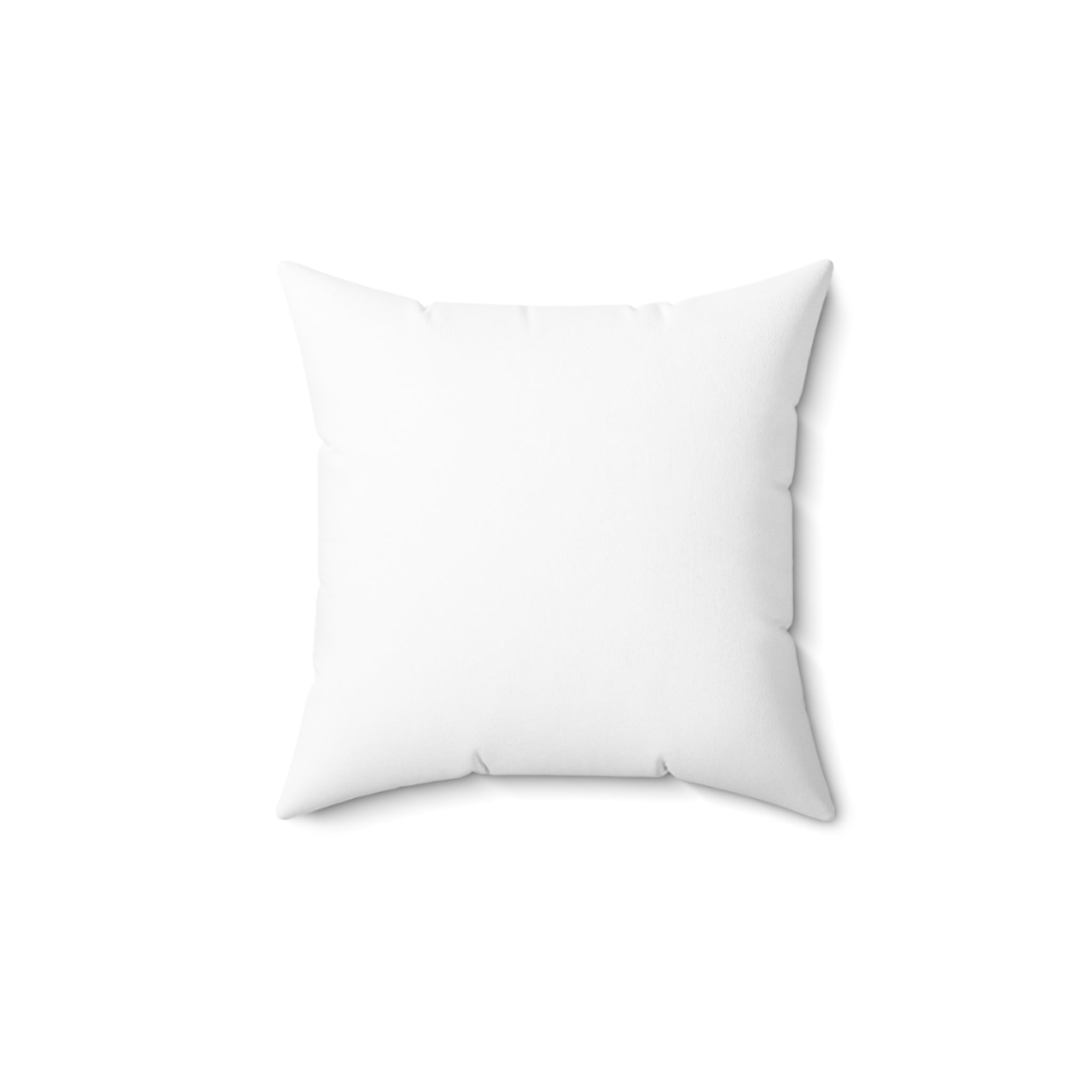 Square Pillow Set with Velveteen Blanket