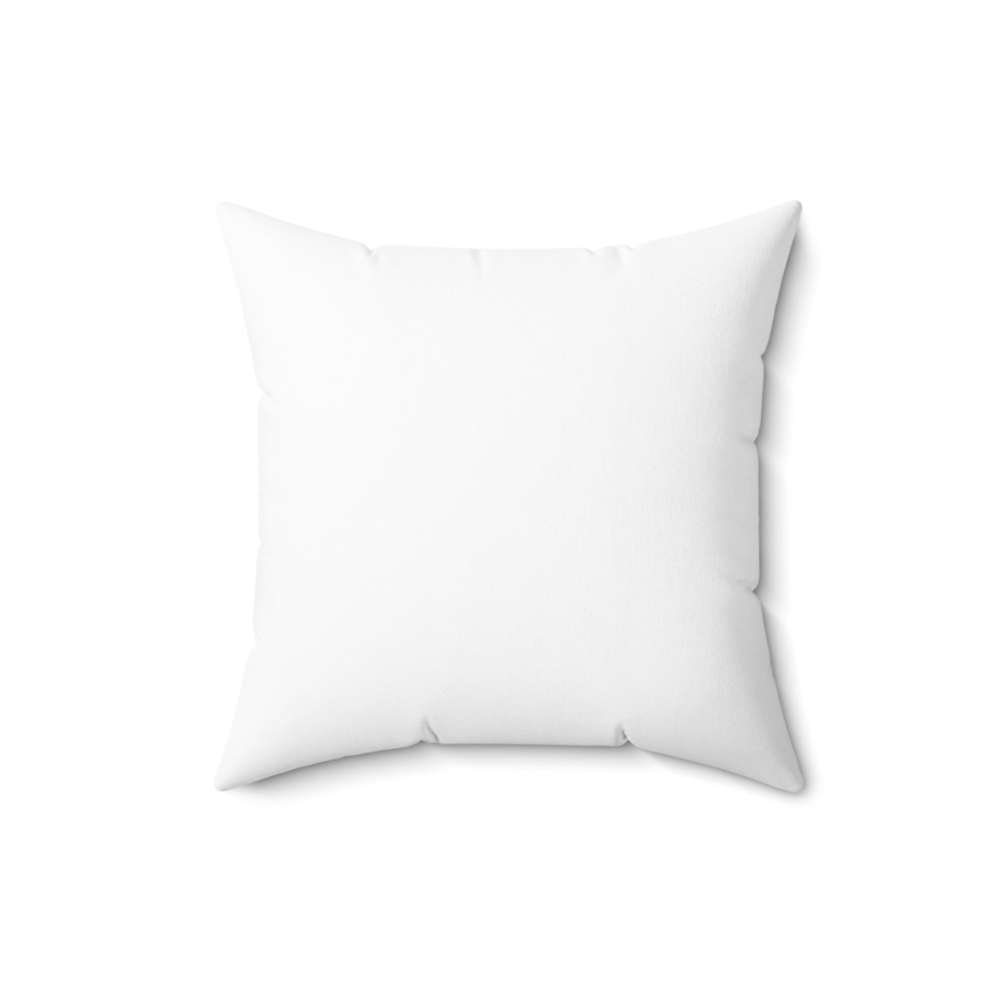 Square Pillow Set with Velveteen Blanket